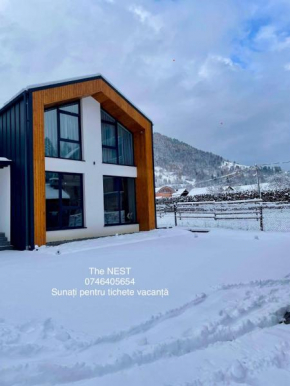 The NEST Borşa